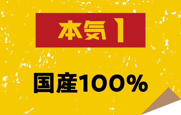 本気1 国産100%